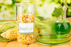 Burrington biofuel availability